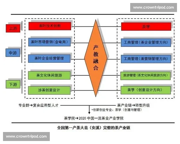 以体育教育成果导向驱动学生全面发展与实践能力提升的创新路径研究