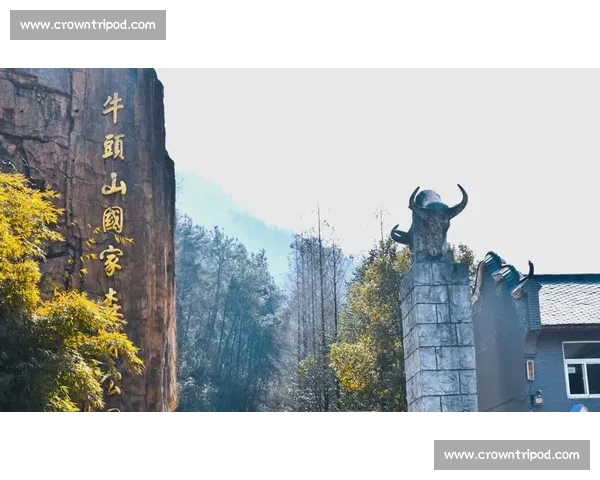 牛头比赛全景解析 探秘背后的竞技精神与独特魅力 牛头比赛全景解析 探秘背后的竞技精神与独特魅力